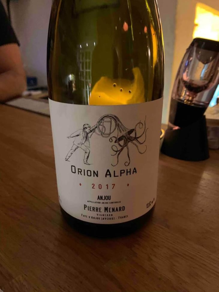 Orion Alpha - Domaine Pierre Ménard - Pierre Ménard 