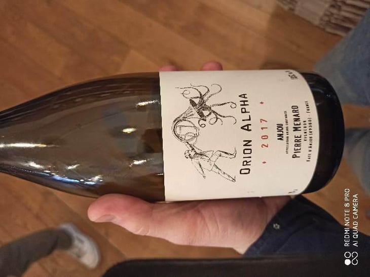 Orion Alpha - Domaine Pierre Ménard - Pierre Ménard 