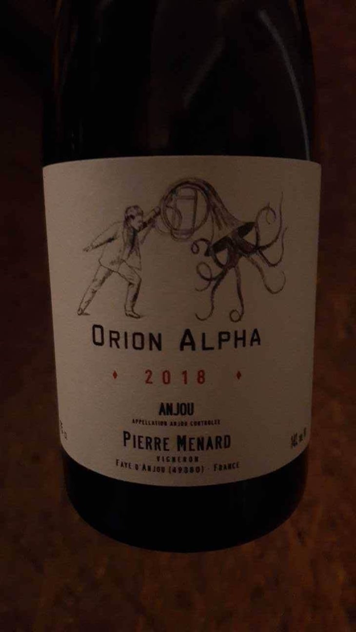 Orion Alpha - Domaine Pierre Ménard - Pierre Ménard 