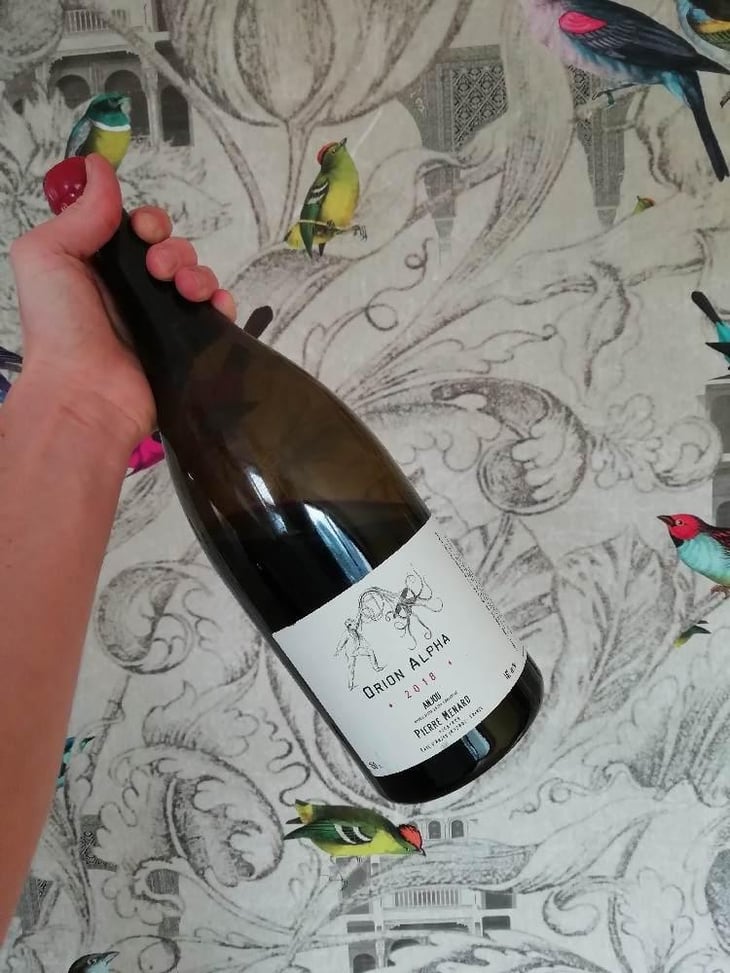 Orion Alpha - Domaine Pierre Ménard - Pierre Ménard 