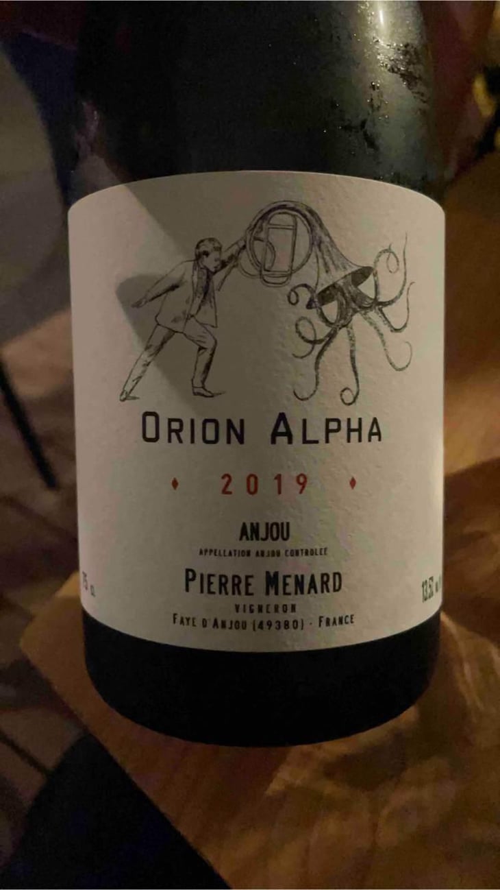 Orion Alpha - Domaine Pierre Ménard - Pierre Ménard 