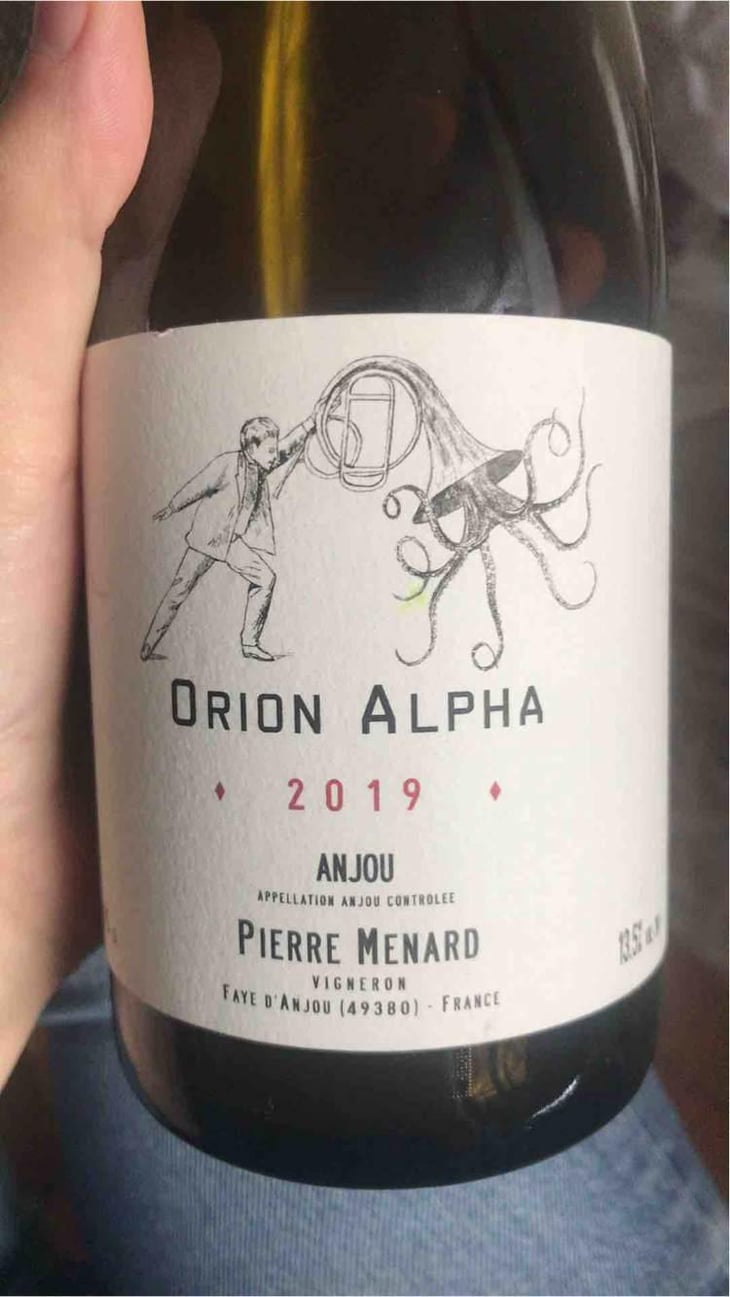 Orion Alpha - Domaine Pierre Ménard - Pierre Ménard 
