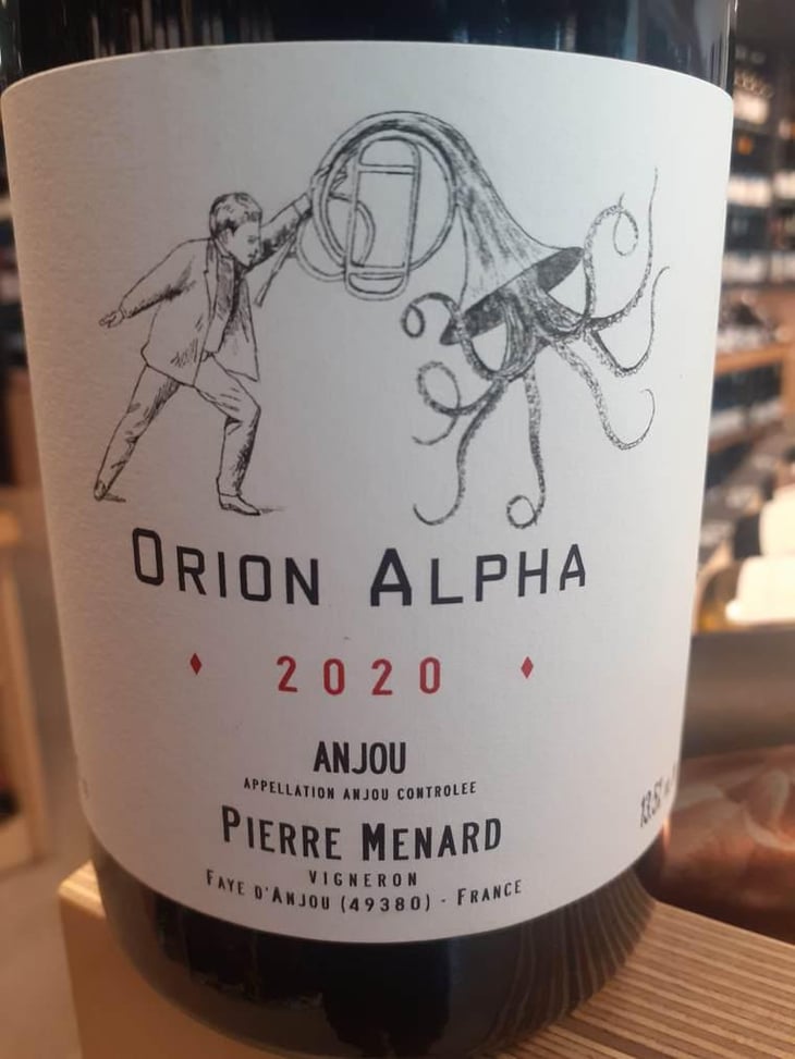 Orion Alpha - Domaine Pierre Ménard - Pierre Ménard 