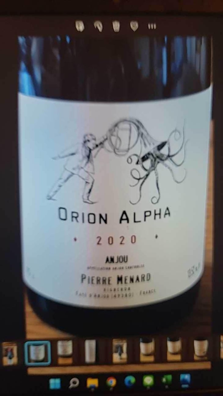 Orion Alpha - Domaine Pierre Ménard - Pierre Ménard 