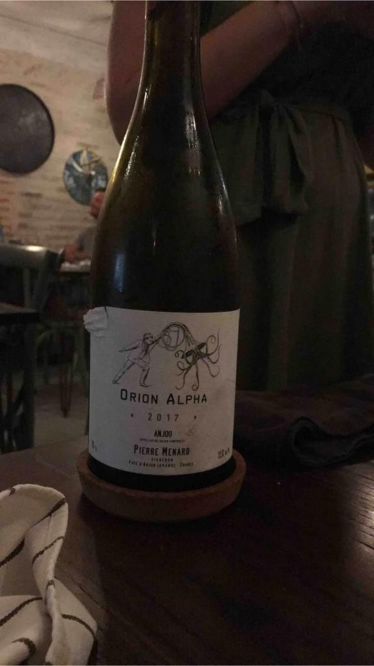 Orion Alpha - Domaine Pierre Ménard - Pierre Ménard 