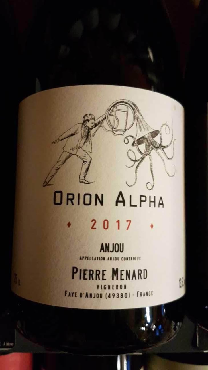 Orion Alpha - Domaine Pierre Ménard - Pierre Ménard 