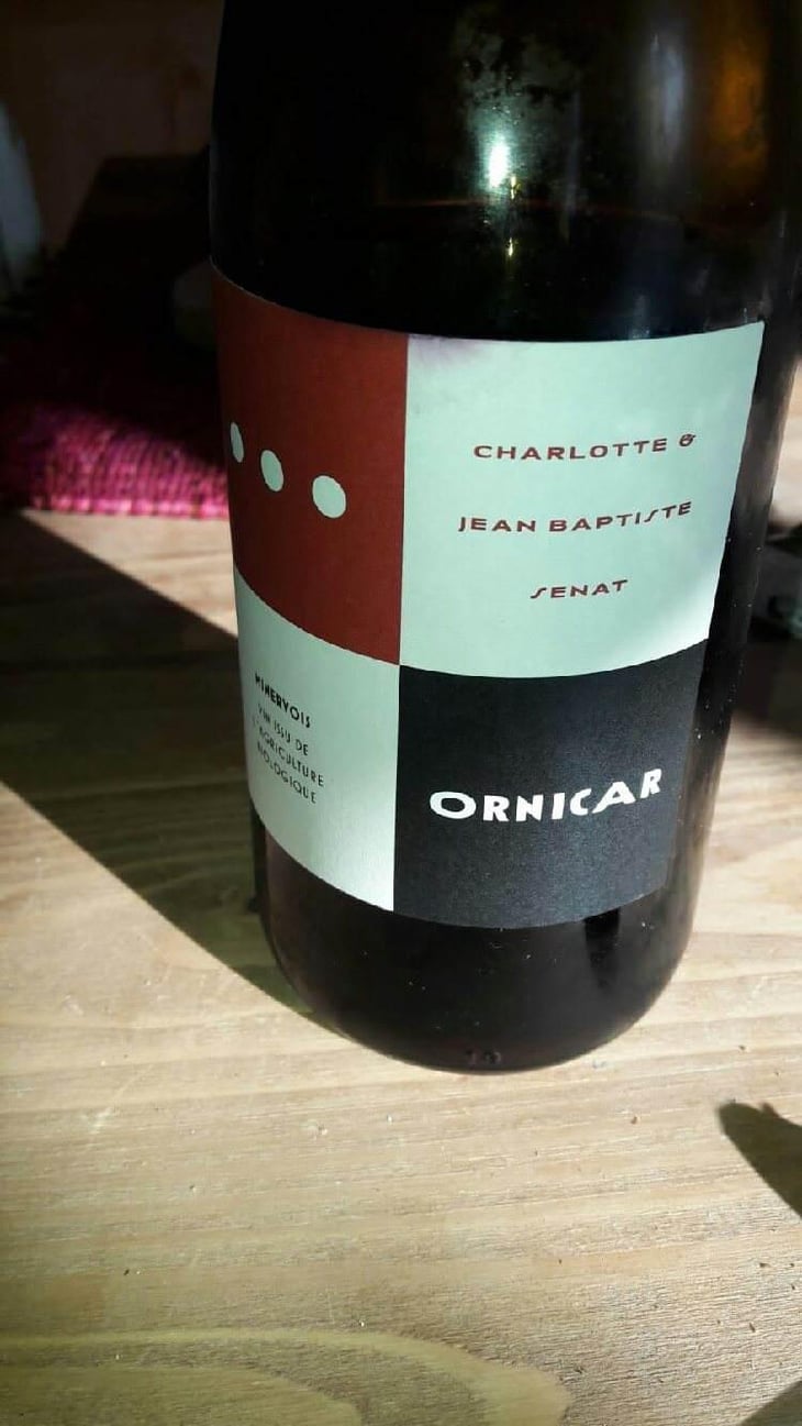 Ornicar - Jean-Baptiste Senat - Charlotte & Jean-Baptiste Senat 