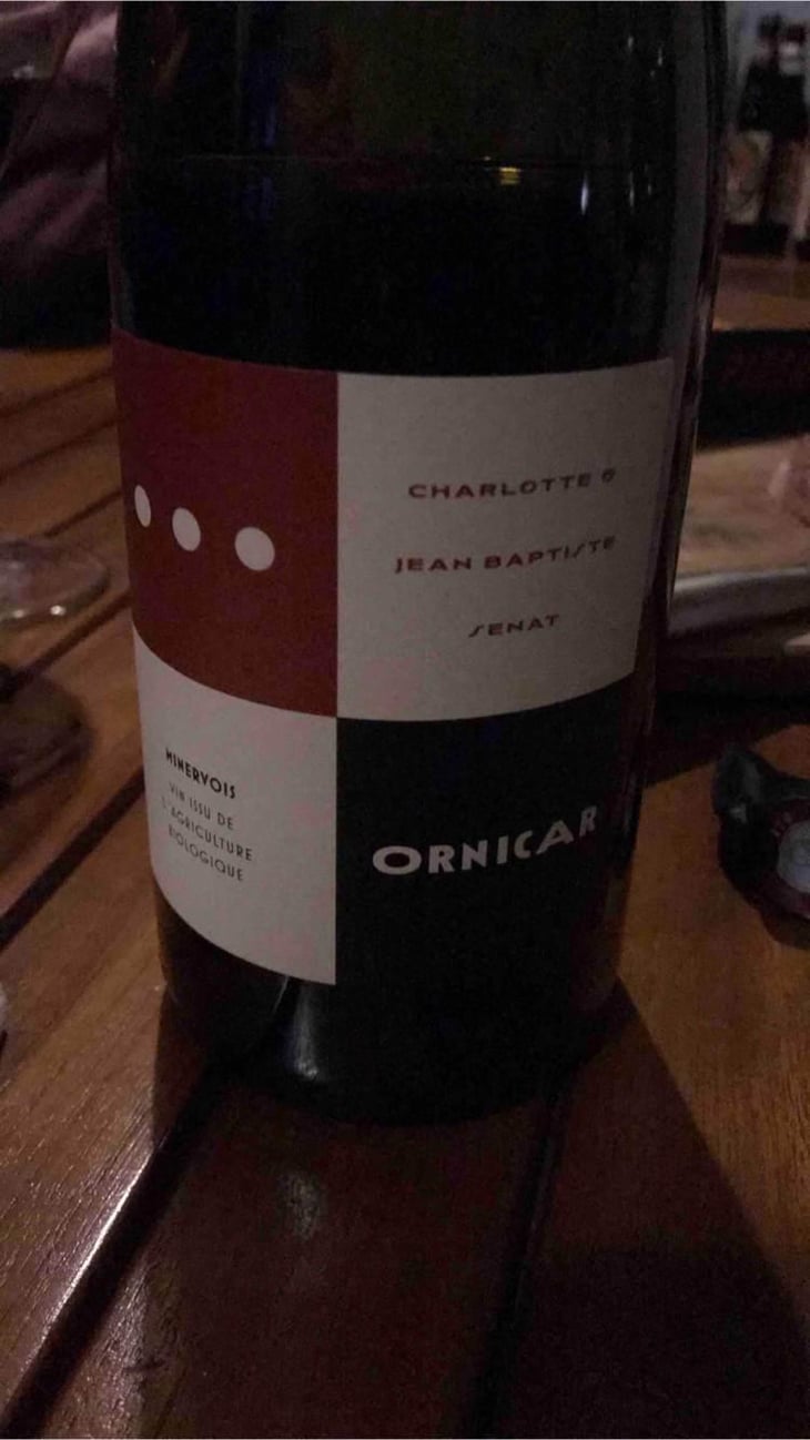 Ornicar - Jean-Baptiste Senat - Charlotte & Jean-Baptiste Senat 