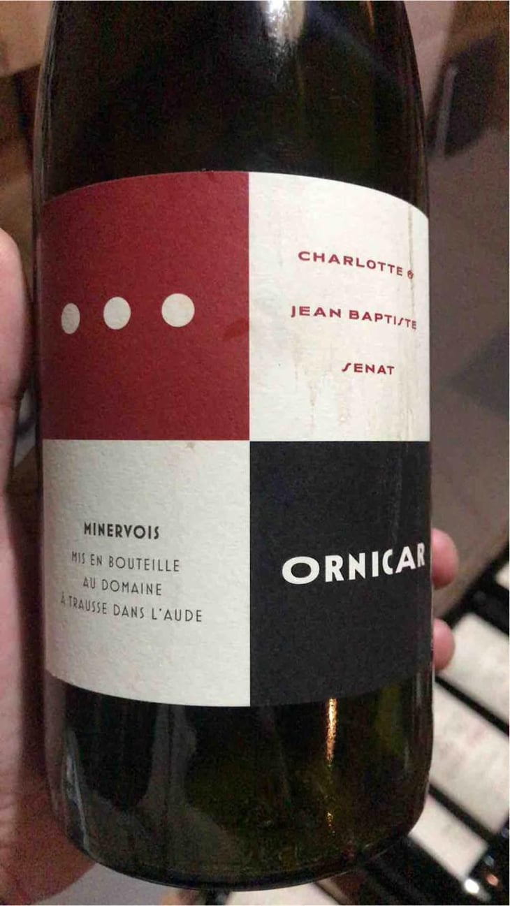 Ornicar - Jean-Baptiste Senat - Charlotte & Jean-Baptiste Senat 