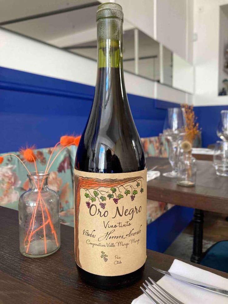 Oro Negro - Viñedos Herrera Alvarado - Carolina Alvarado & Arturo Herrera 