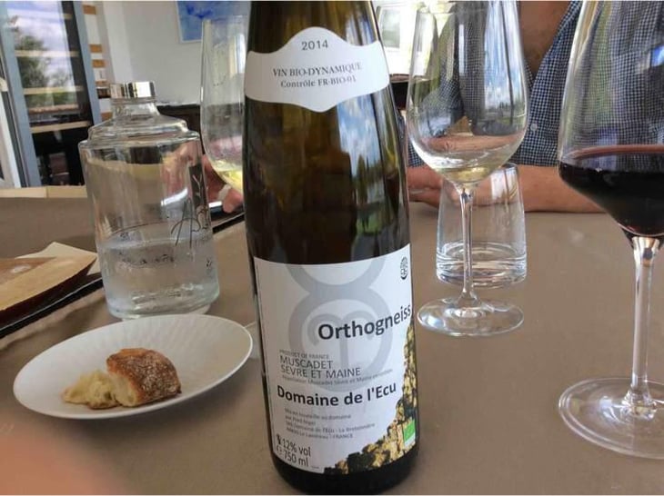Orthogneiss - Domaine de L'Ecu - Claire & Fred NIGER 
