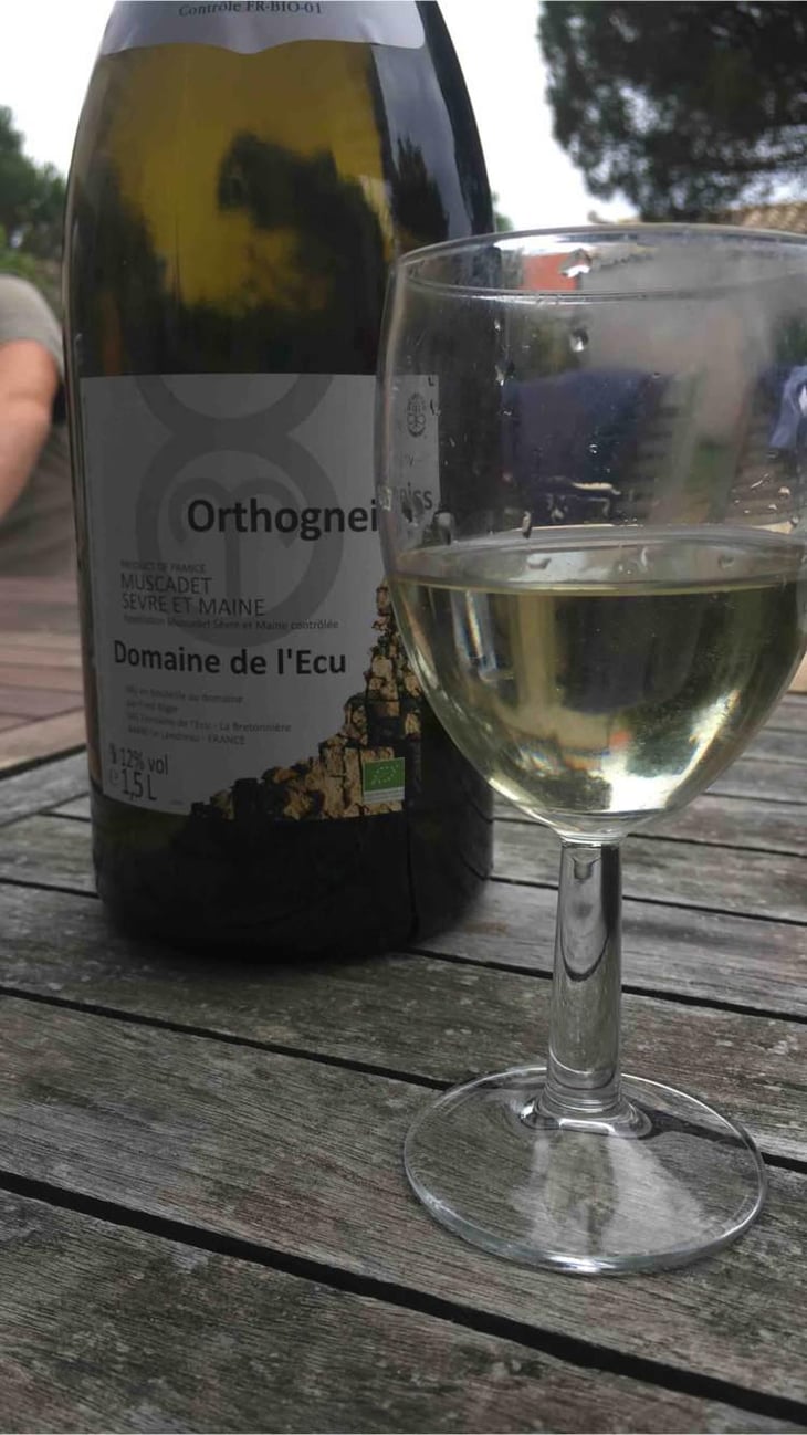 Orthogneiss - Domaine de L'Ecu - Claire & Fred NIGER 