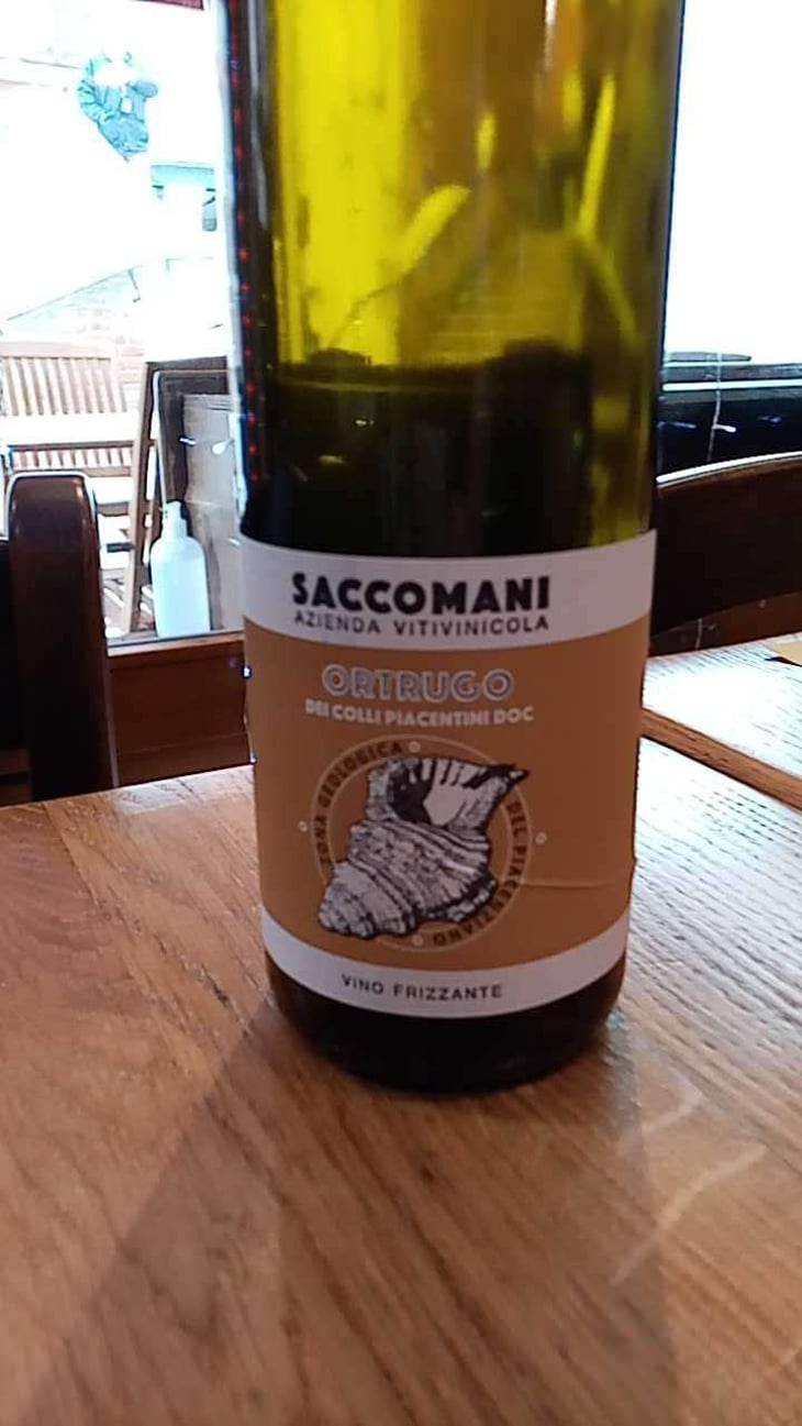 Ortrugo - Azienda Vitivinicola Saccomani - Saccomani Giuseppe, Luca e Claudia 