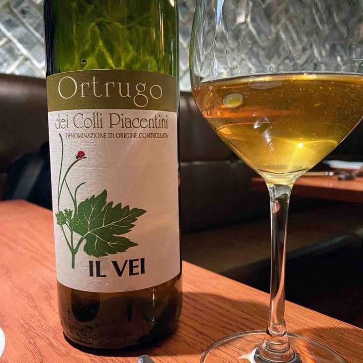 Ortrugo - Azienda Vitivinicola Saccomani - Saccomani Giuseppe, Luca e Claudia 