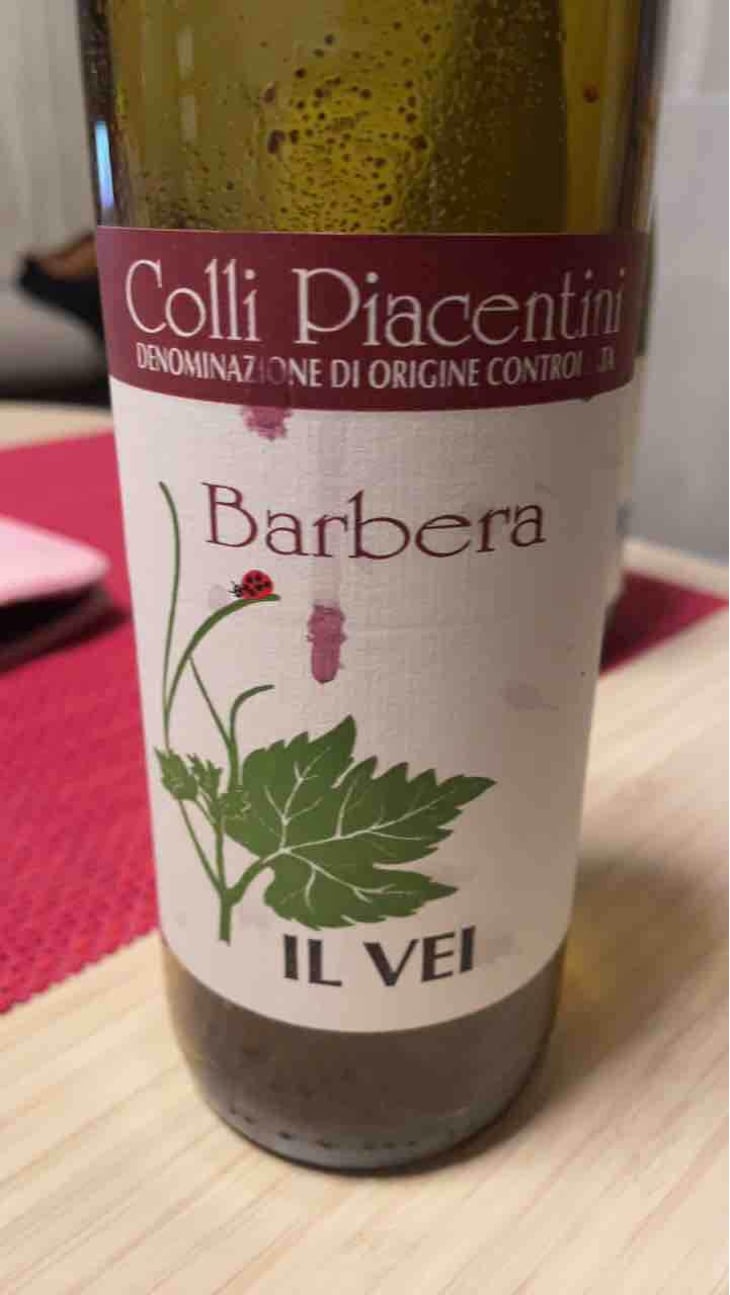 Ortrugo - Azienda Vitivinicola Saccomani - Saccomani Giuseppe, Luca e Claudia 