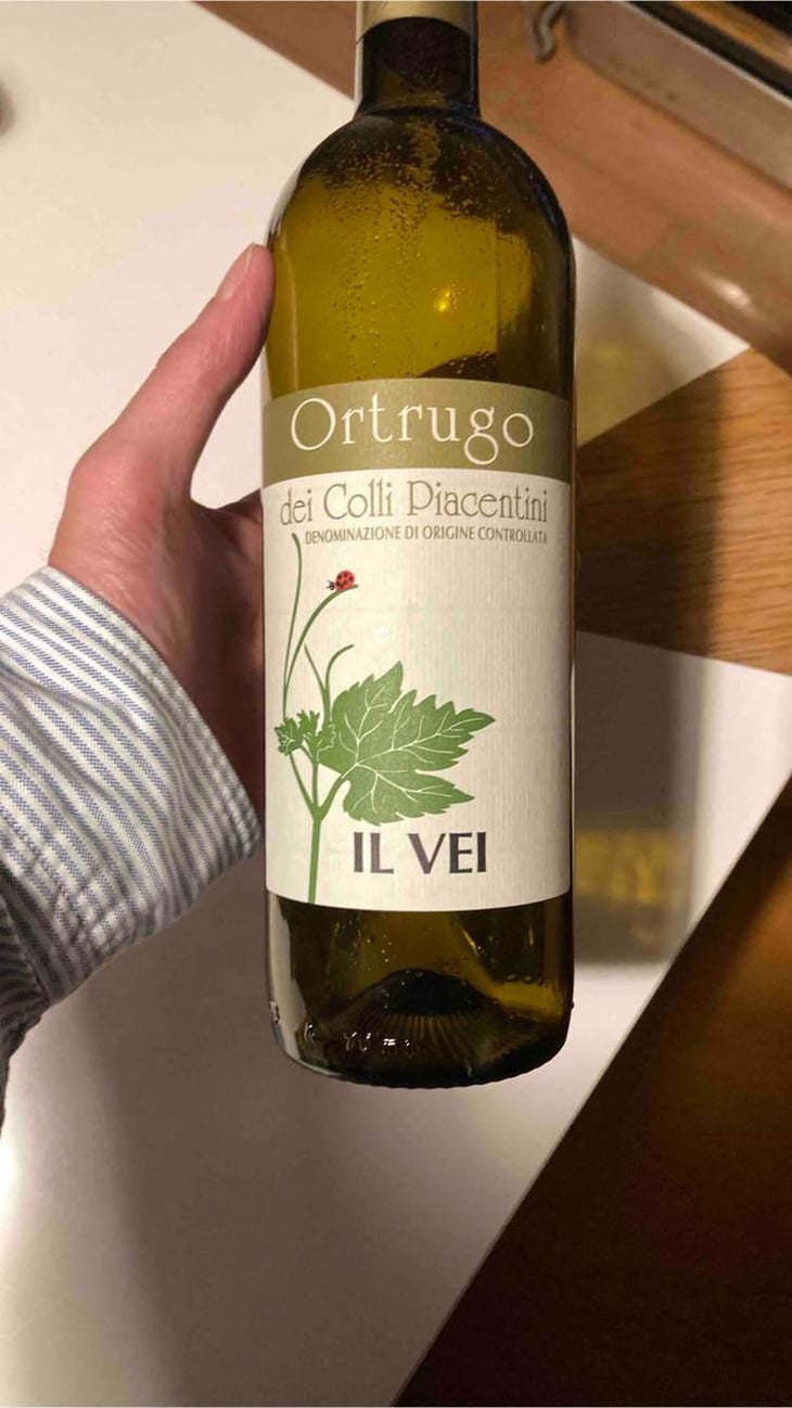 Ortrugo - Azienda Vitivinicola Saccomani - Saccomani Giuseppe, Luca e Claudia 