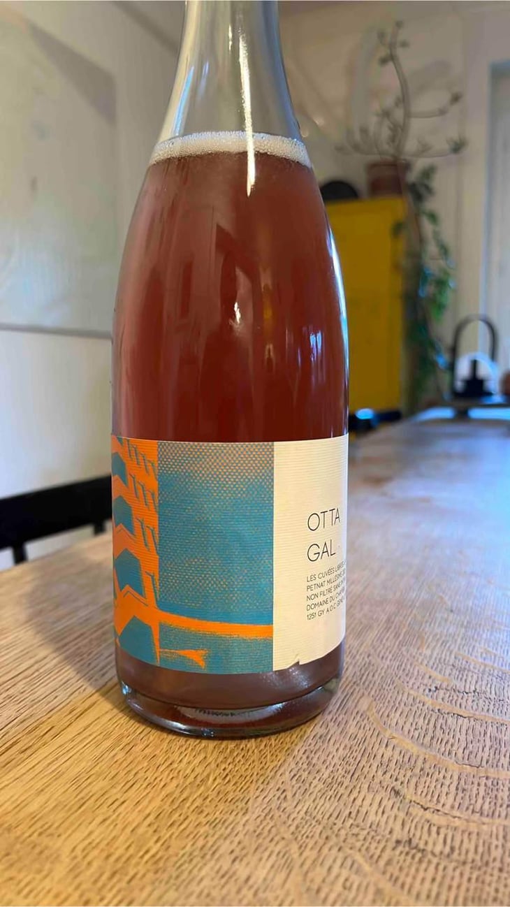 Otta Gal - Pet Nat - Domaine du Chambet - Anthony Fonjallaz -2021