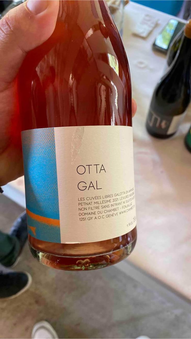 Otta Gal - Pet Nat - Domaine du Chambet - Anthony Fonjallaz -2021