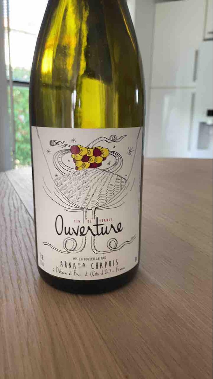 Ouverture - Aligoté Macération - Domaine Arnaud Chapuis - Arnaud Chapuis 