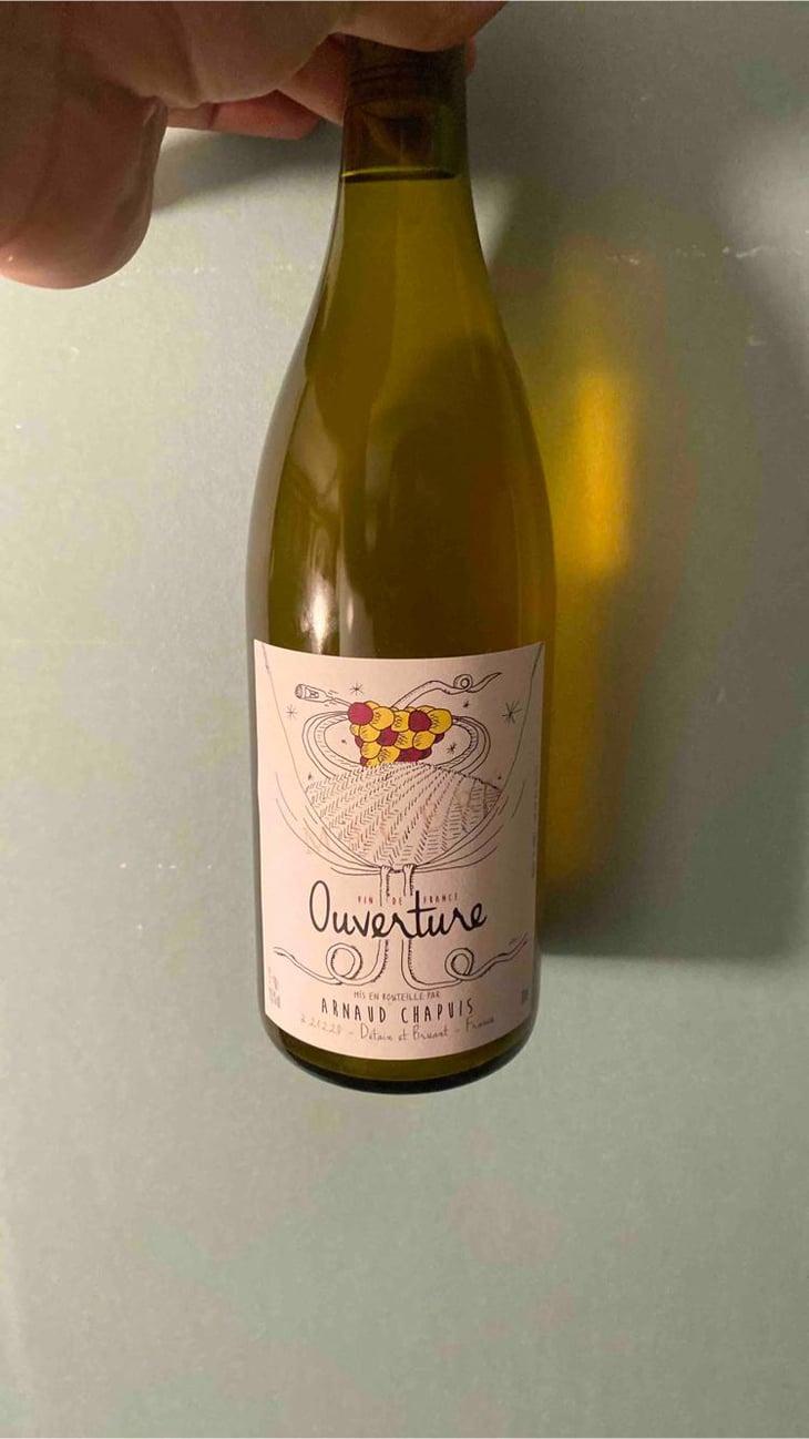 Ouverture - Aligoté Macération - Domaine Arnaud Chapuis - Arnaud Chapuis 