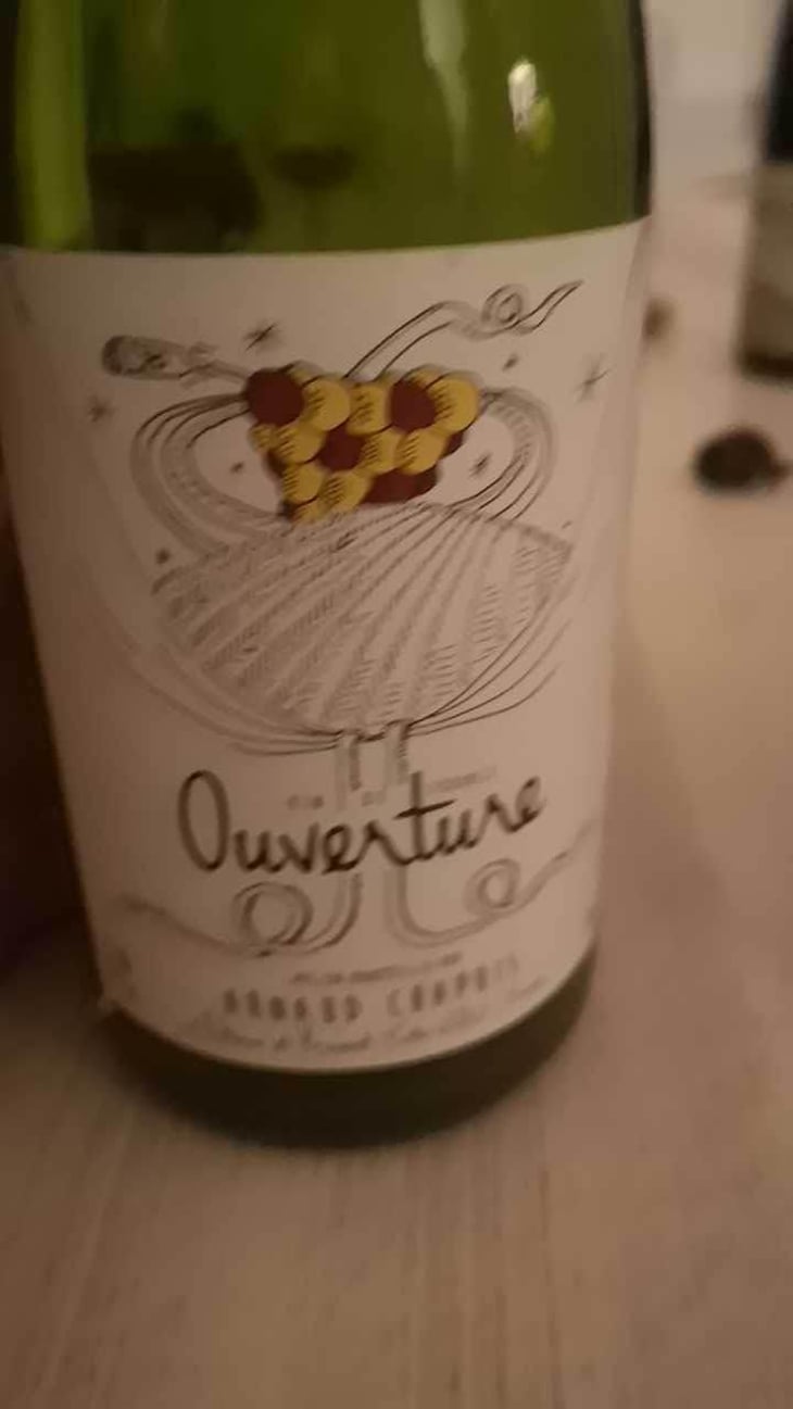 Ouverture - Aligoté Pet Nat - Domaine Arnaud Chapuis - Arnaud Chapuis 