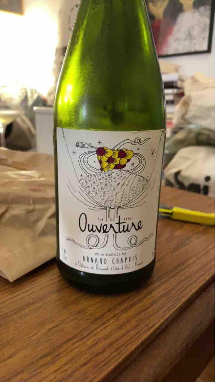 Ouverture - Aligoté Pet Nat - Domaine Arnaud Chapuis - Arnaud Chapuis 
