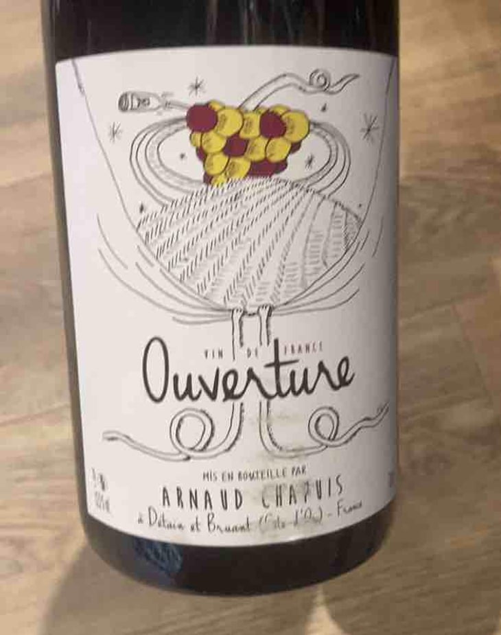 Ouverture - Pinot Noir - Domaine Arnaud Chapuis - Arnaud Chapuis 