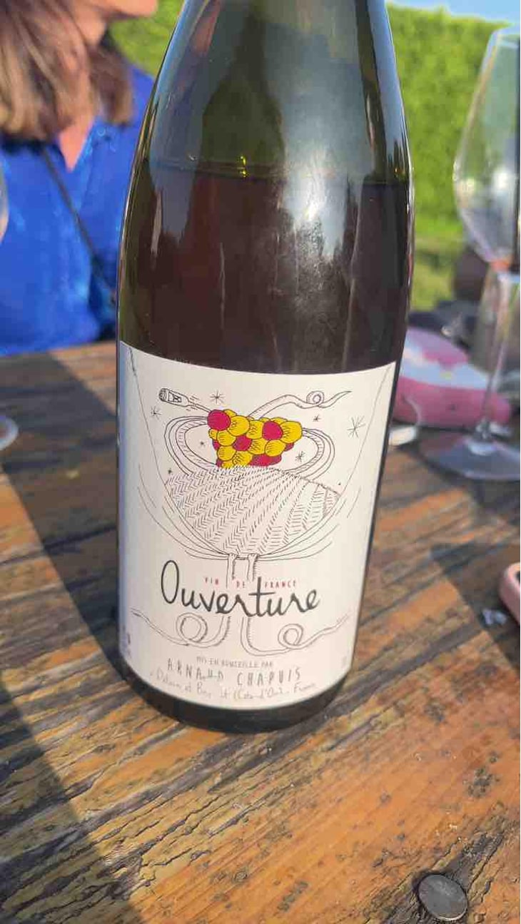 Ouverture - Pinot Noir - Domaine Arnaud Chapuis - Arnaud Chapuis 