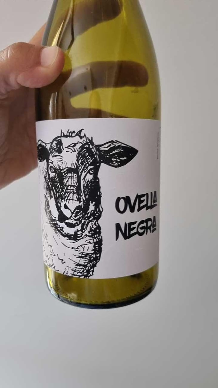 Ovella Negra - Ramon Jané Viticultor - Ramón Jané 