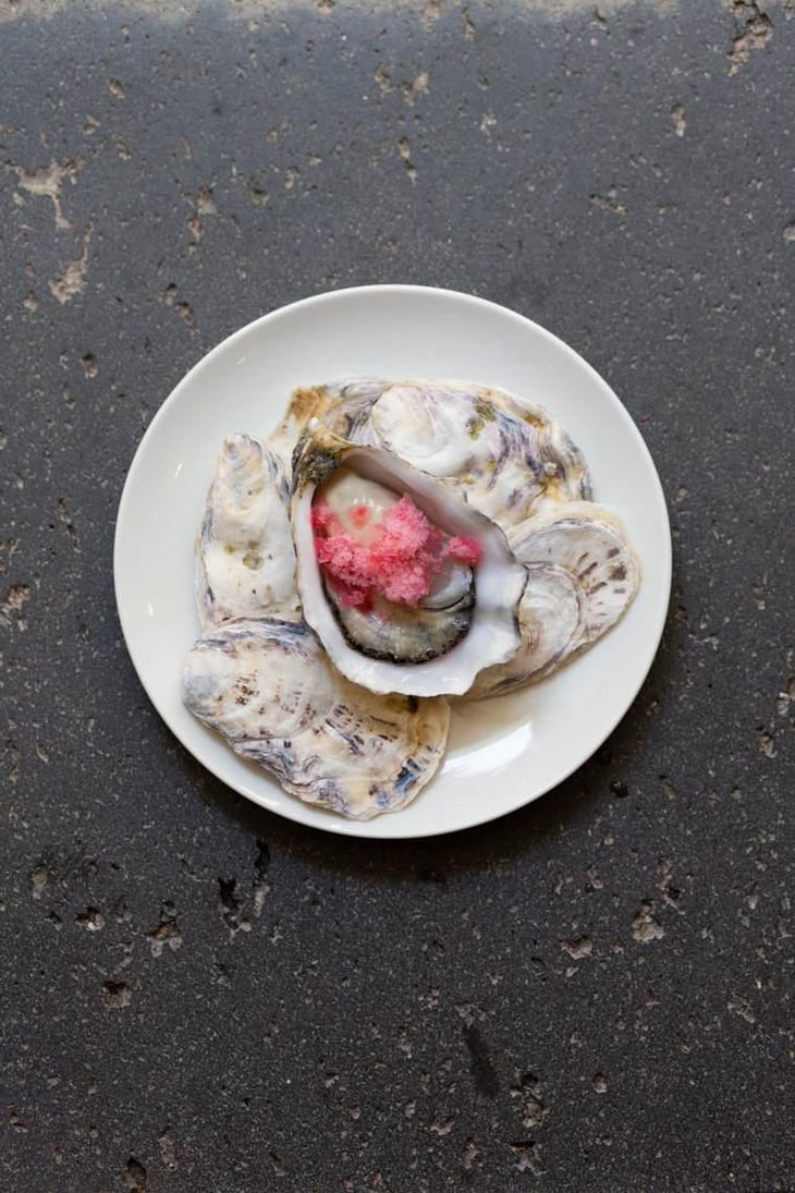 Oyster - GOTA - 483561