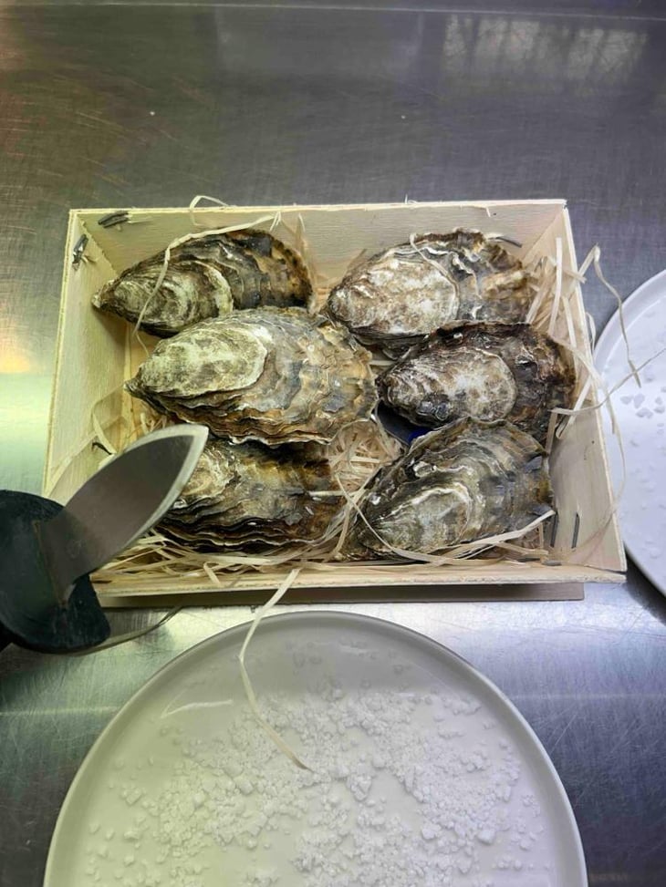 Oyster Time - Sckiribar - 800490