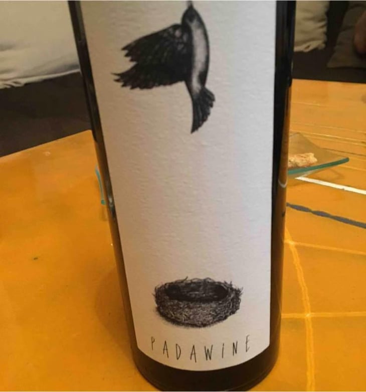 Padawine - L'Ambitio - Romuald Cousy 