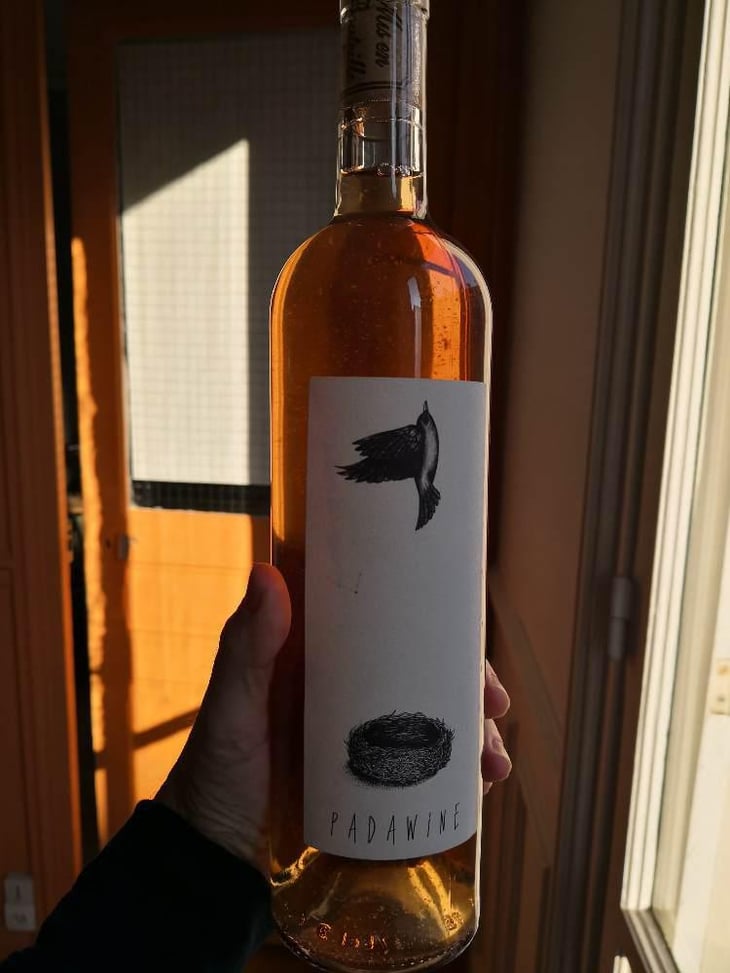Padawine - L'Ambitio - Romuald Cousy 