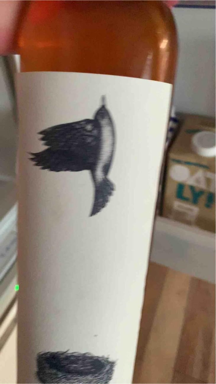 Padawine Macération (X Vincent Alexis) - L'Ambitio - Romuald Cousy 