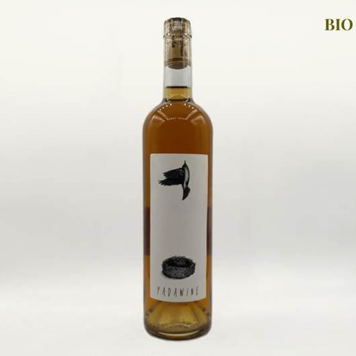 Padawine Macération (X Vincent Alexis) - L'Ambitio - Romuald Cousy 