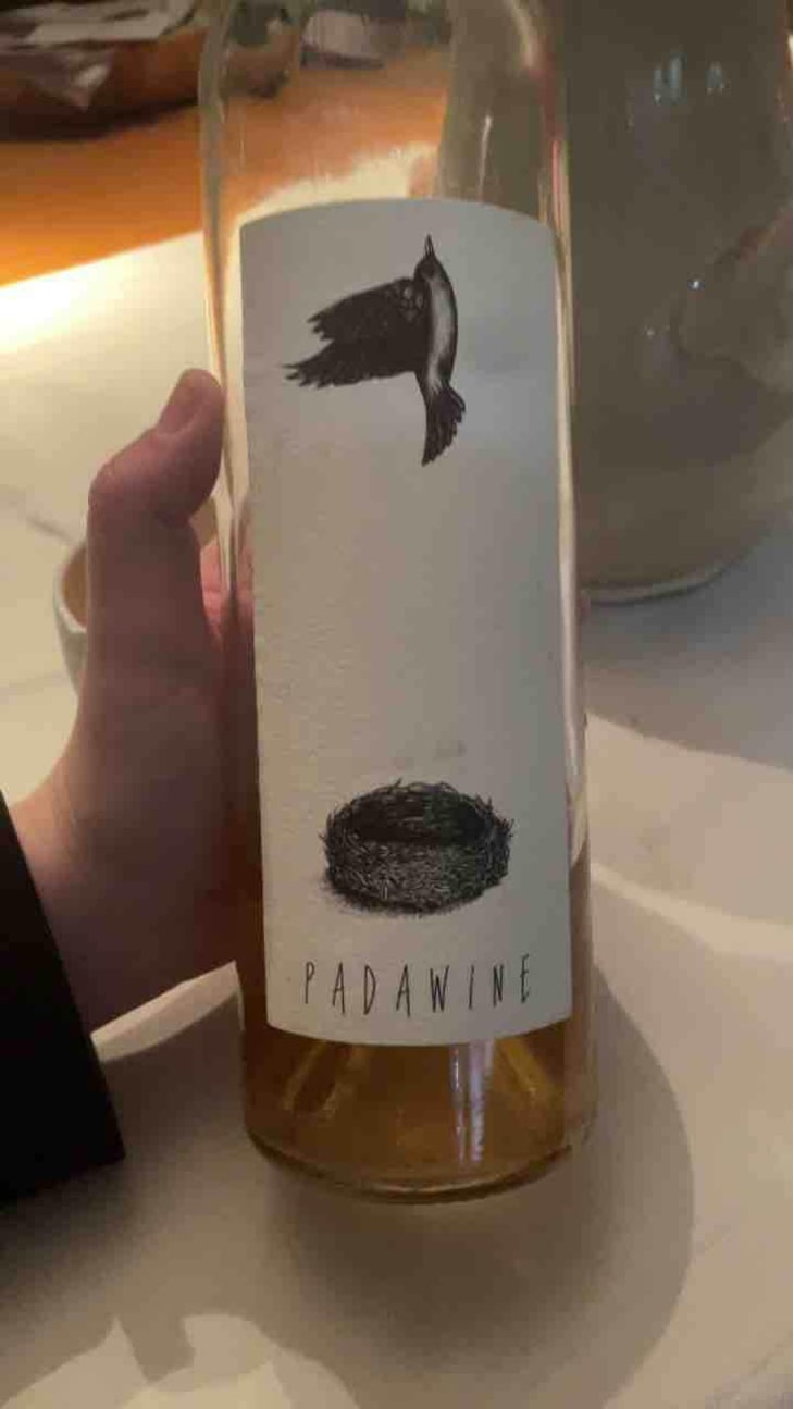 Padawine Macération (X Vincent Alexis) - L'Ambitio - Romuald Cousy 
