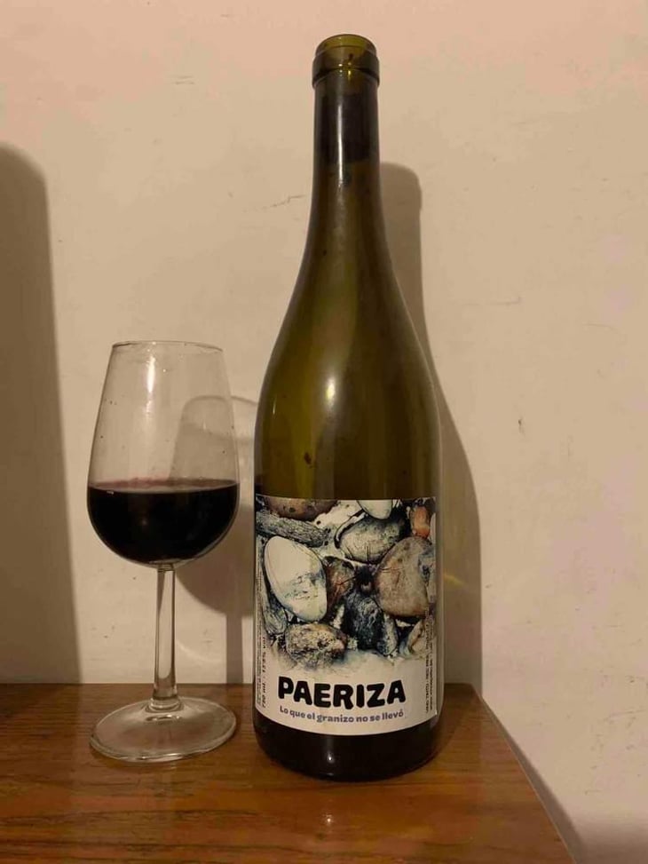 Paeriza - Viños Patio - Samuel Cano 