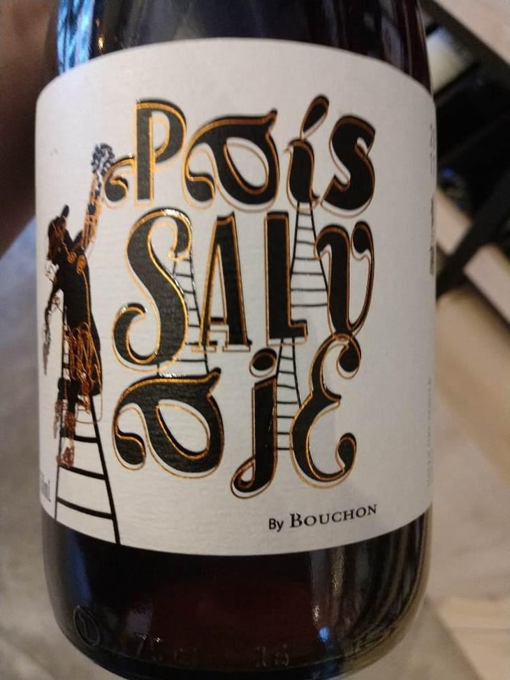 País Salvage - Bouchon Family Wined - Felipe Ramirez 