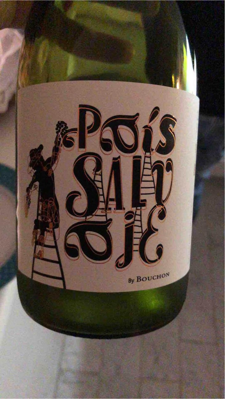 País Salvage - Bouchon Family Wined - Felipe Ramirez 