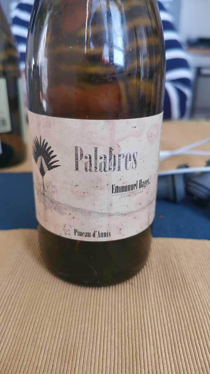 Palabres - Emmanuel Haget - Emmanuel Haget 