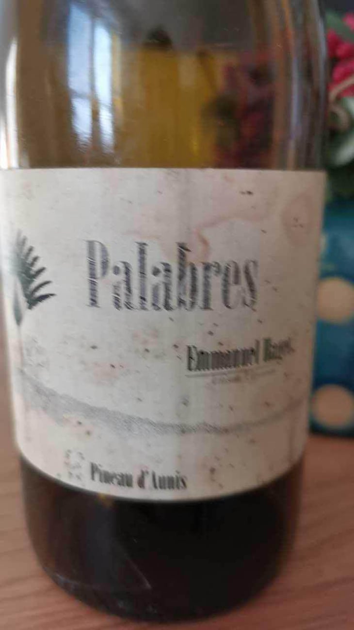 Palabres - Emmanuel Haget - Emmanuel Haget 