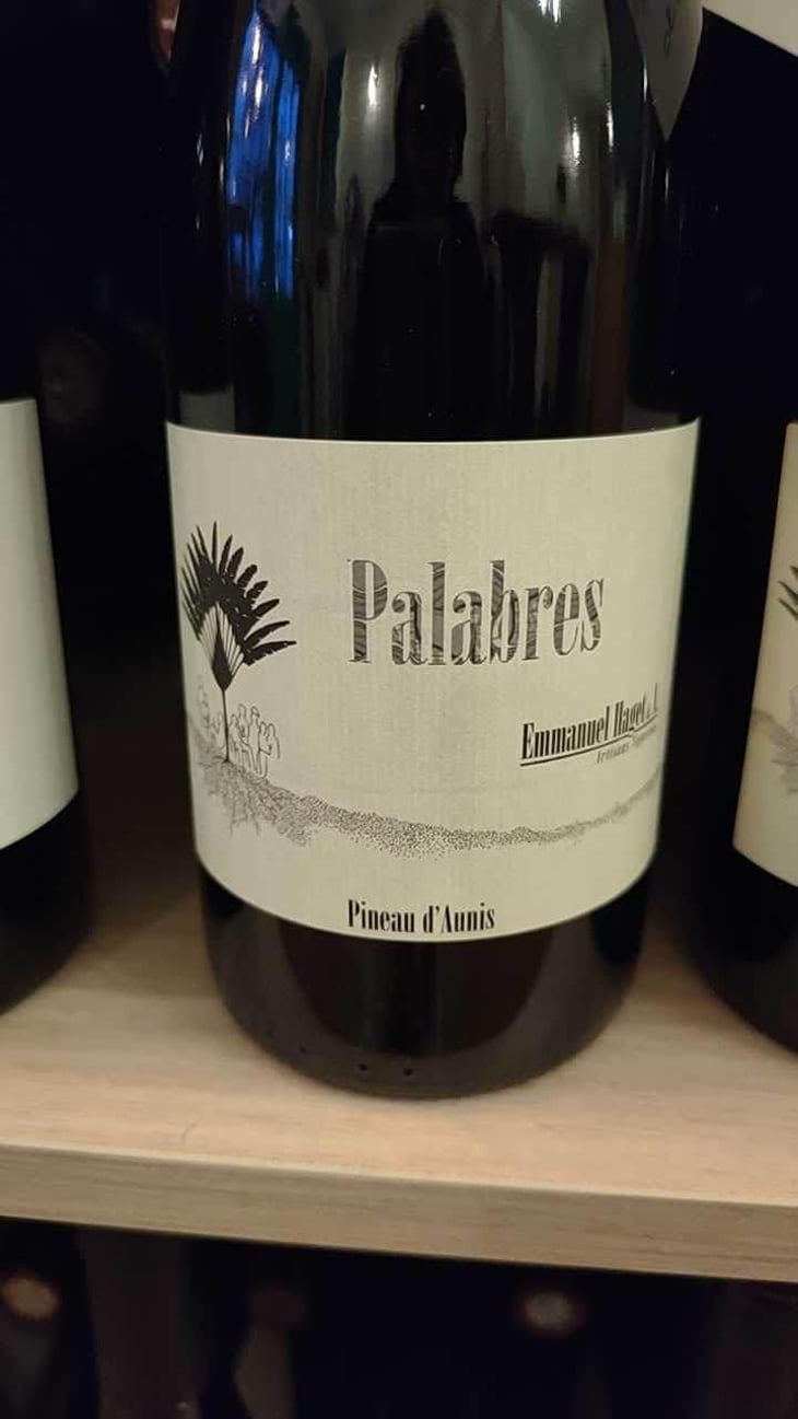 Palabres - Emmanuel Haget - Emmanuel Haget 