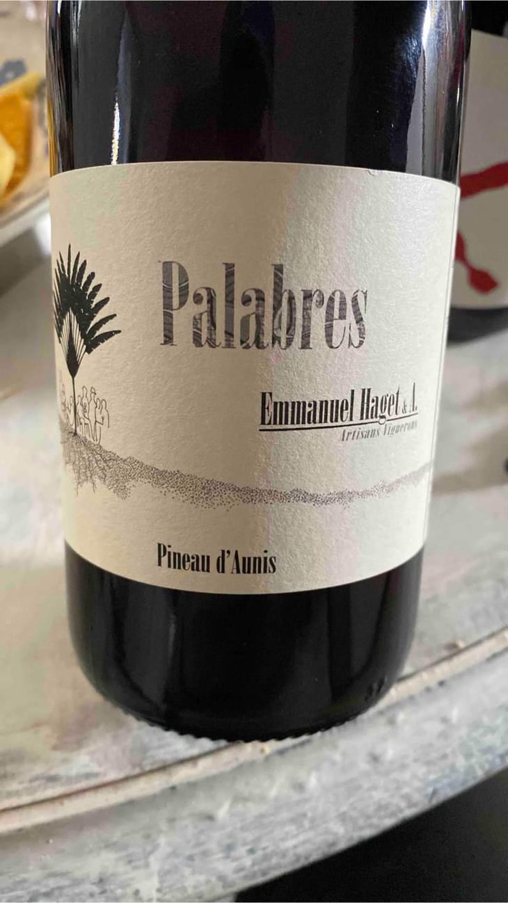 Palabres - Emmanuel Haget - Emmanuel Haget 