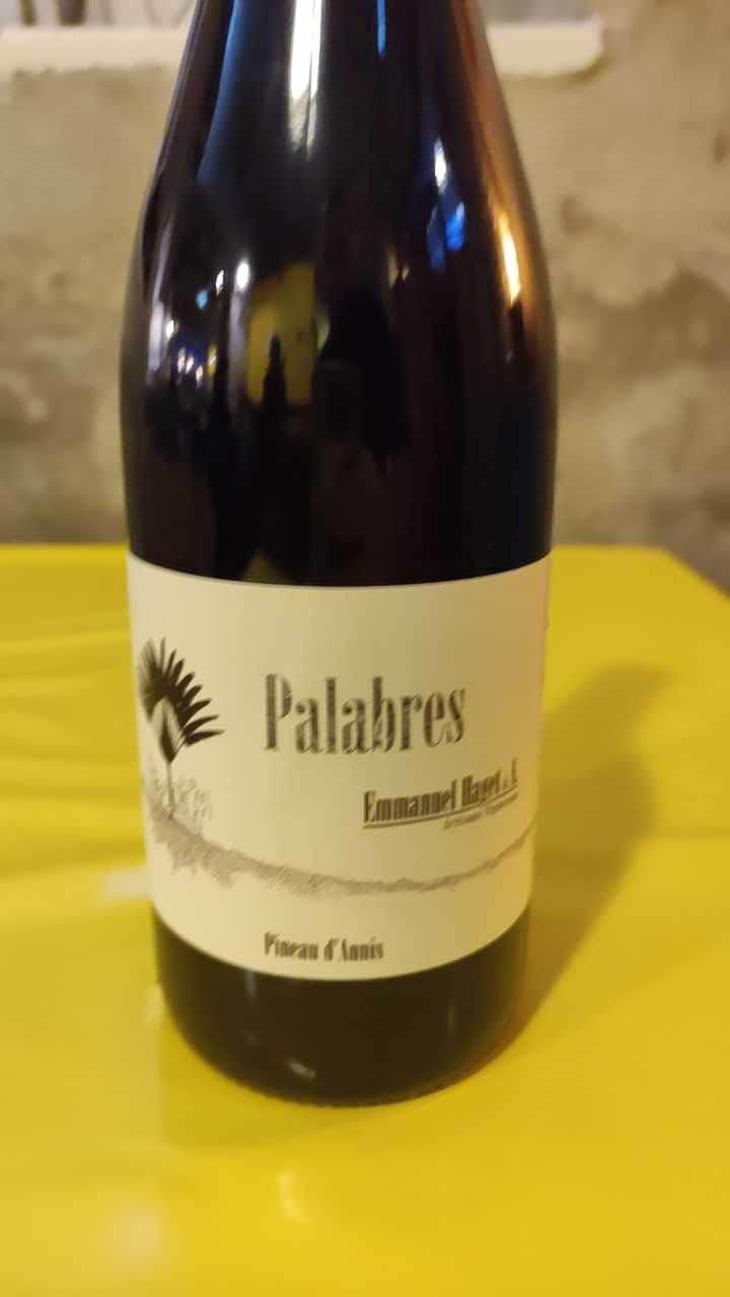 Palabres - Emmanuel Haget - Emmanuel Haget 