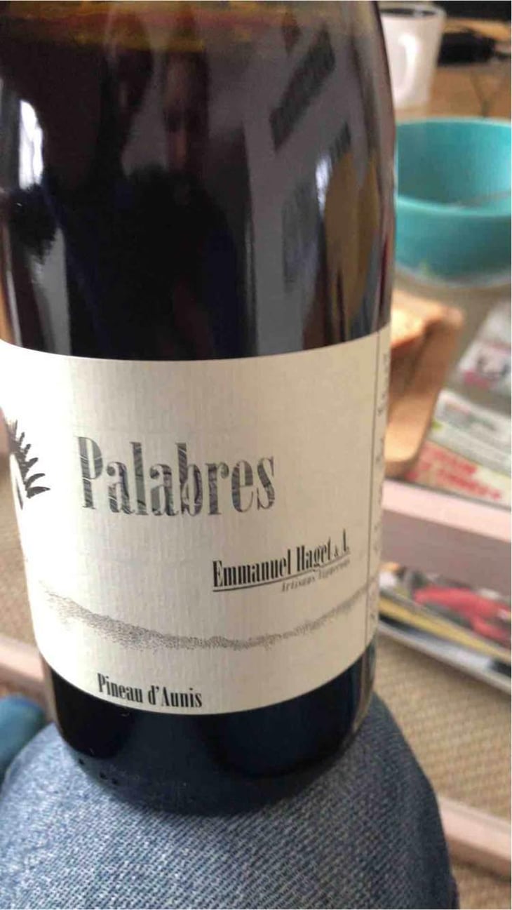 Palabres - Emmanuel Haget - Emmanuel Haget 