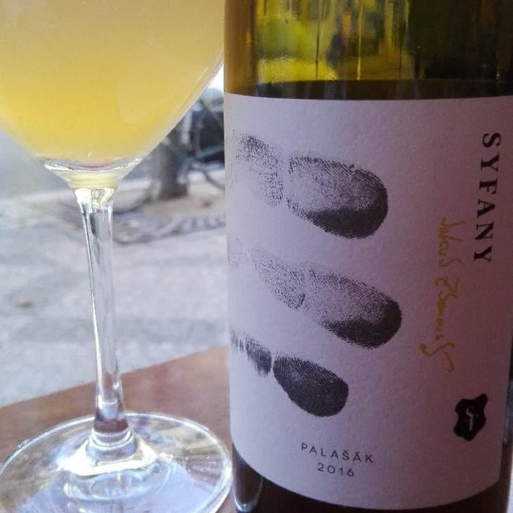 Palasak - Vinařství Syfany - Jakub Zborovský 