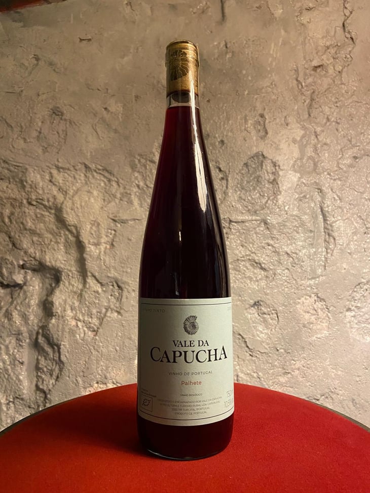 Palhete - Vale da Capucha - Pedro Marques 