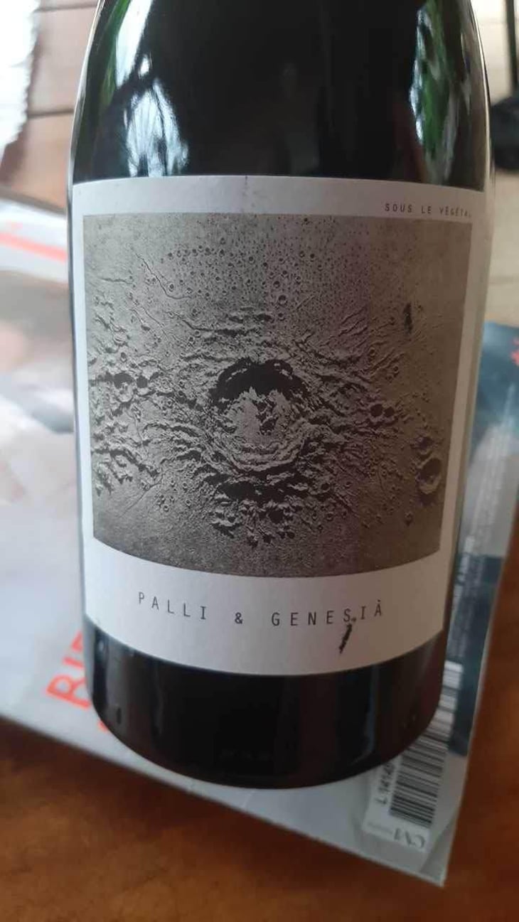 Palli & Genesià - Sous Le Vegetal - Patrick Bouju & Jason Ligas 
