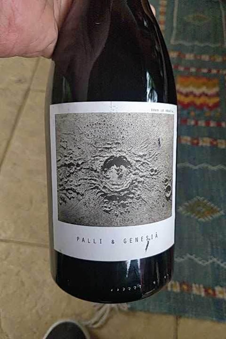 Palli & Genesià - Sous Le Vegetal - Patrick Bouju & Jason Ligas 