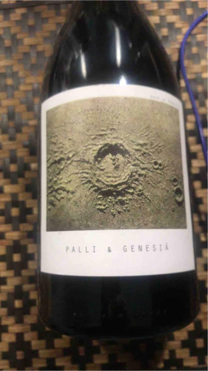 Palli & Genesià - Sous Le Vegetal - Patrick Bouju & Jason Ligas 
